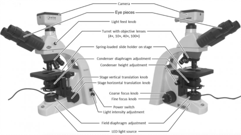Light Optical Microscope Condenser Scientific Instrument, PNG, 1521x852px, Light, Auto Part, Camera Accessory, Celestron, Condenser Download Free