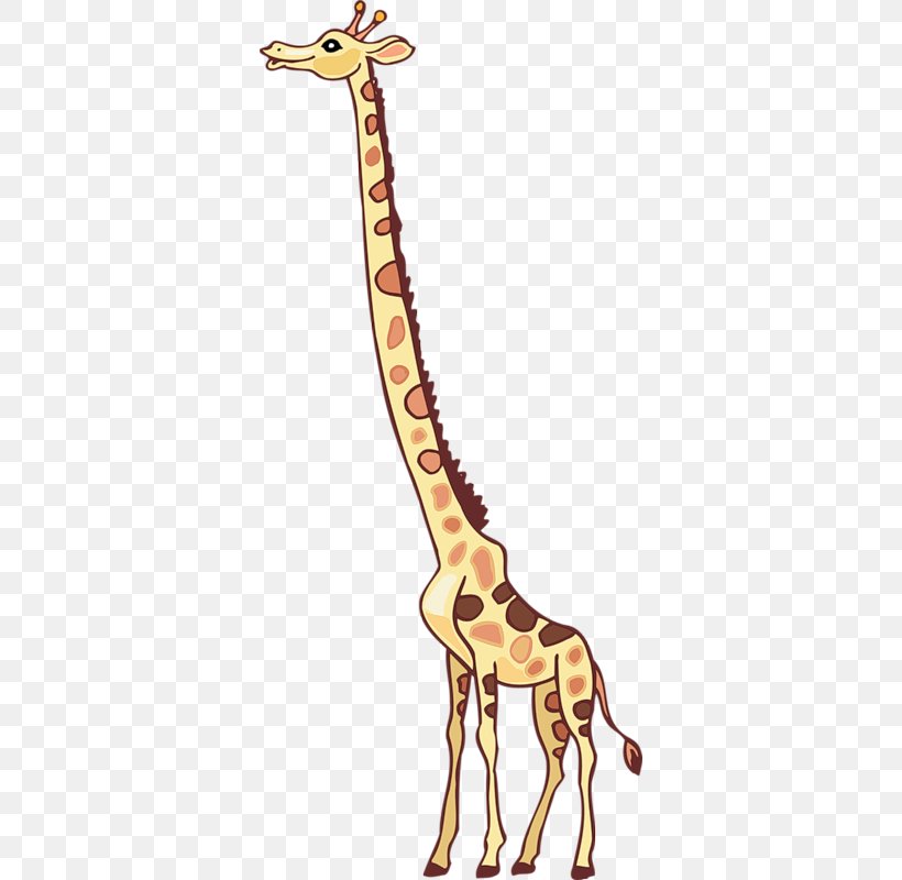 Northern Giraffe Animaatio Lion Clip Art, PNG, 348x800px, Northern Giraffe, Animaatio, Animal, Animal Figure, Bird Download Free
