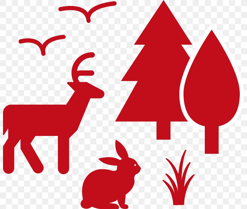 White-tailed Deer Reindeer Antler Deer Hunting, PNG, 800x695px, Deer, Animal, Antler, Area, Artwork Download Free