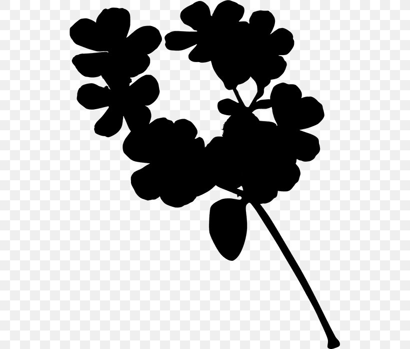 Clip Art Silhouette Leaf Flowering Plant Plants, PNG, 541x697px, Silhouette, Blackandwhite, Botany, Branch, Flower Download Free
