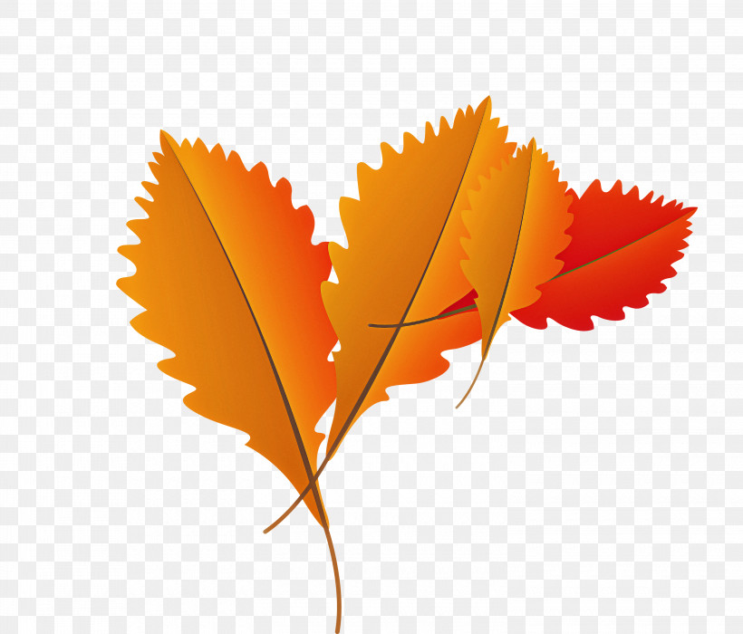 Drawing Motion Graphics Watercolor Painting Computer Gear, PNG, 3000x2562px, Autumn Leaf, Cartoon Leaf, Computer, Drawing, Fall Leaf Download Free