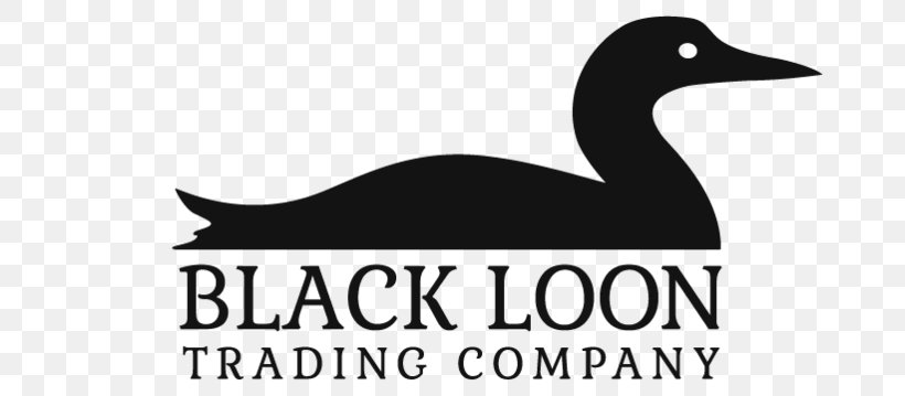 Duck Goose Logo Loons Beak, PNG, 700x359px, Duck, Beak, Bird, Black And White, Brand Download Free