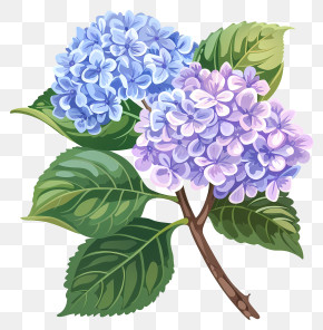 Hydrangeas - Purple Hydrangea With Artistic Flair PNG