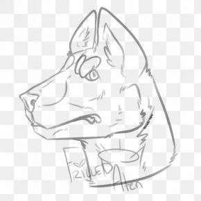 AtenÃ§Ã£o - Snout Whiskers Dog Line Art Sketch PNG