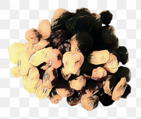 Black Hair Plant - Vintage Background PNG