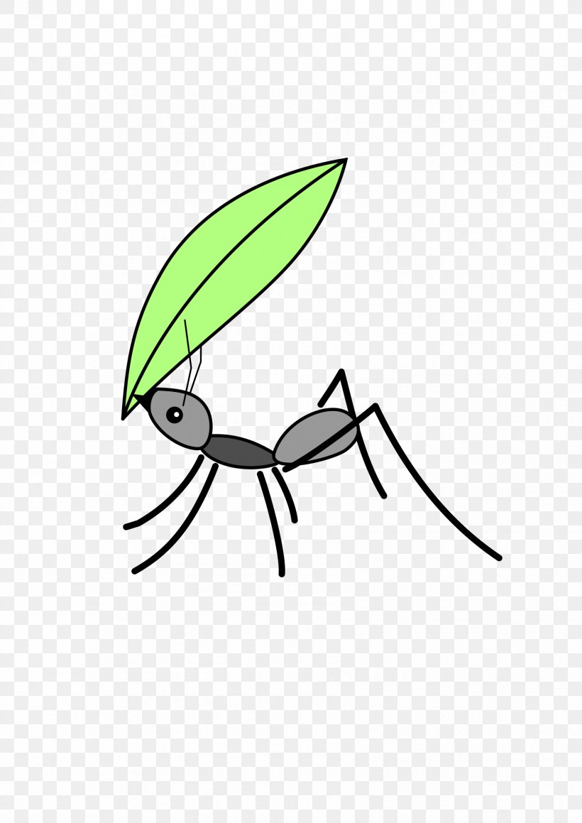 Ant Insect Clip Art, PNG, 1697x2400px, Ant, Acromyrmex, Animal, Area, Arthropod Download Free