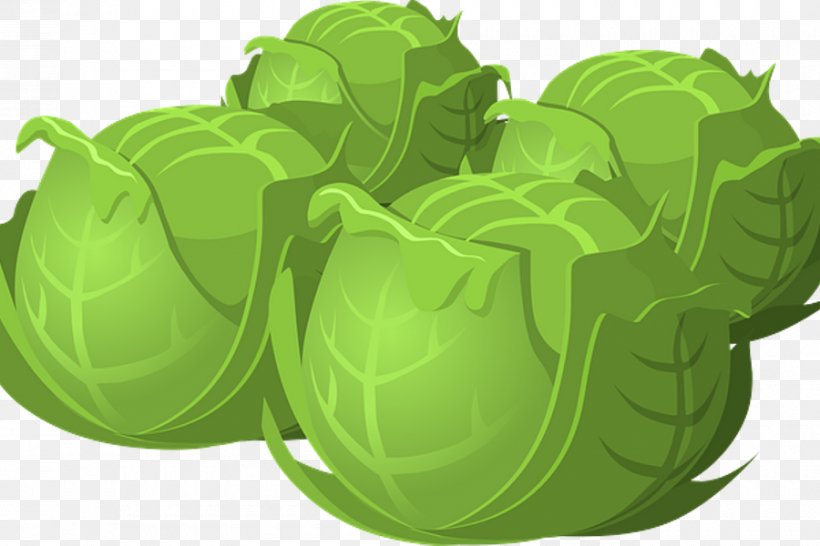 Brussels Sprouts Vegetarian Cuisine Cabbage Clip Art Vegetable, PNG, 900x600px, Brussels Sprouts, Brussels Sprout, Cabbage, Cauliflower, Cruciferous Vegetables Download Free