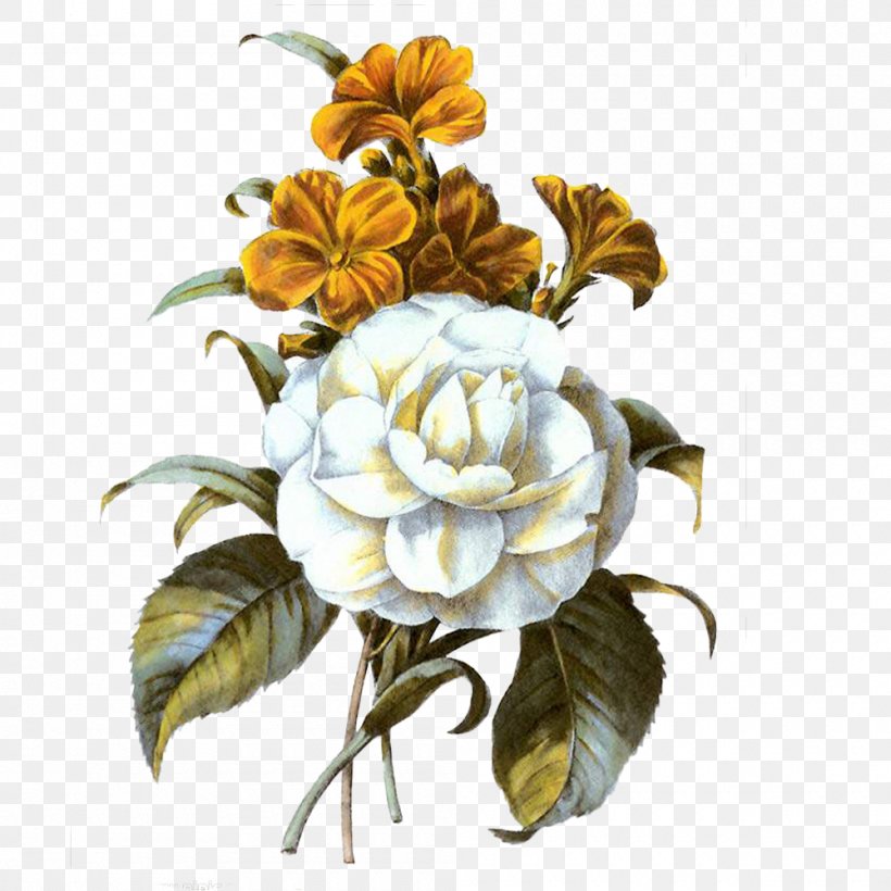DeviantArt Flower Centifolia Roses, PNG, 1000x1000px, Deviantart, Centifolia Roses, Cut Flowers, Floral Design, Floristry Download Free