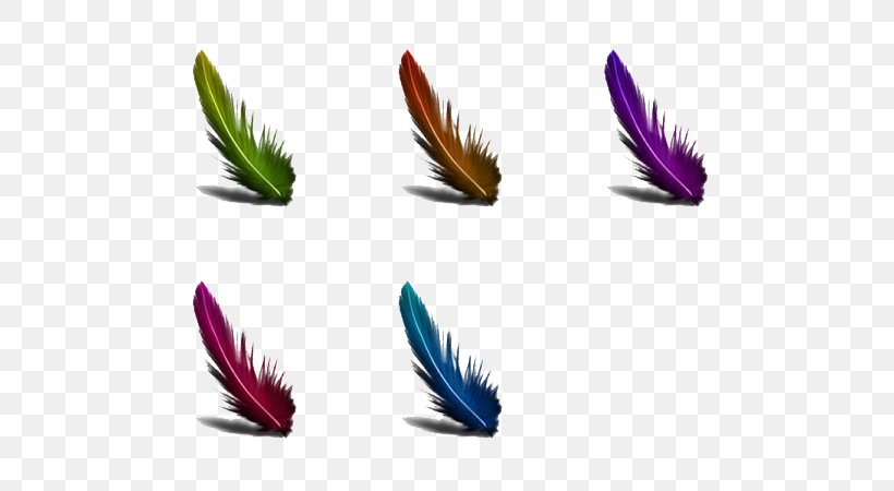 Feather Purple, PNG, 600x450px, Feather, Purple, Quill, Wing Download Free