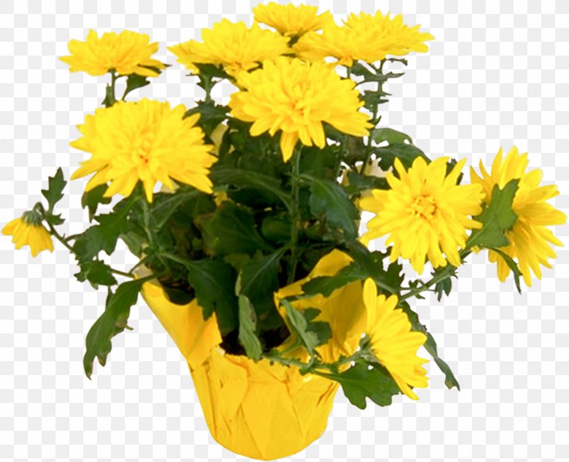 Flower Chrysanthemum Yellow Plant Clip Art, PNG, 1200x974px, Flower, Annual Plant, Autumn, Chrysanthemum, Chrysanths Download Free