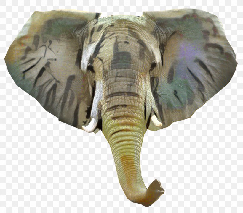 Indian Elephant African Elephant Terrestrial Animal, PNG, 954x839px, Indian Elephant, African Elephant, Animal, Animal Figure, Elephant Download Free