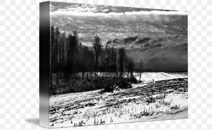 Monochrome Photography Picture Frames, PNG, 650x503px, Photography, Black And White, Inlet, Landscape, Monochrome Download Free