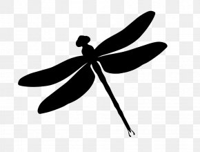 Watercolour Border - Silhouette Dragonfly Stencil Art Clip Art PNG
