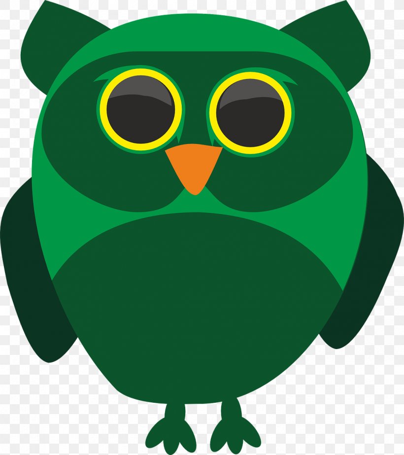 Snowy Owl Bird Beak Image, PNG, 1136x1280px, Owl, Animal, Beak, Bird, Bird Of Prey Download Free
