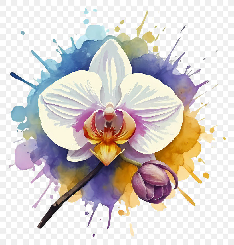 Watercolor Painting - Beautiful Orchid With Colorful Background PNG