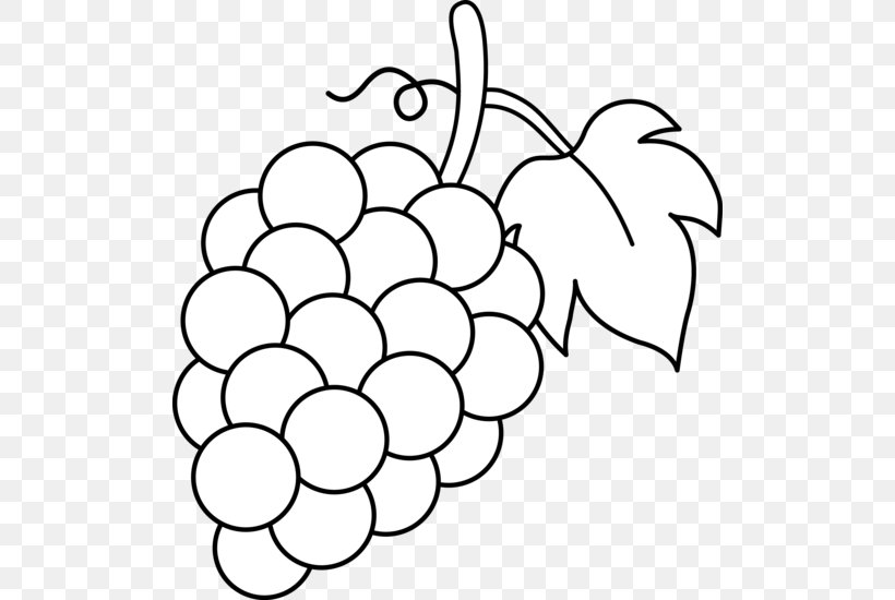 Common Grape Vine Wine Juice Clip Art, PNG, 504x550px, Common Grape Vine, Area, Black, Black And White, Branch Download Free