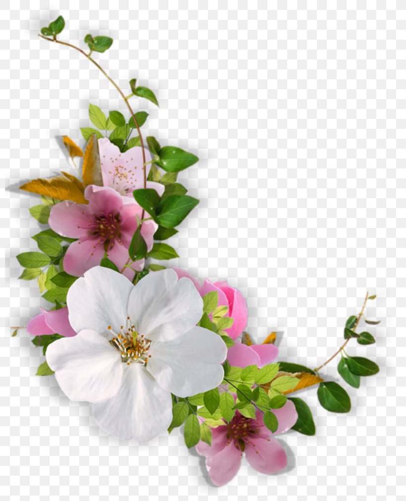 Desktop Wallpaper Clip Art, PNG, 800x1011px, Flower, Blog, Blossom, Branch, Cut Flowers Download Free