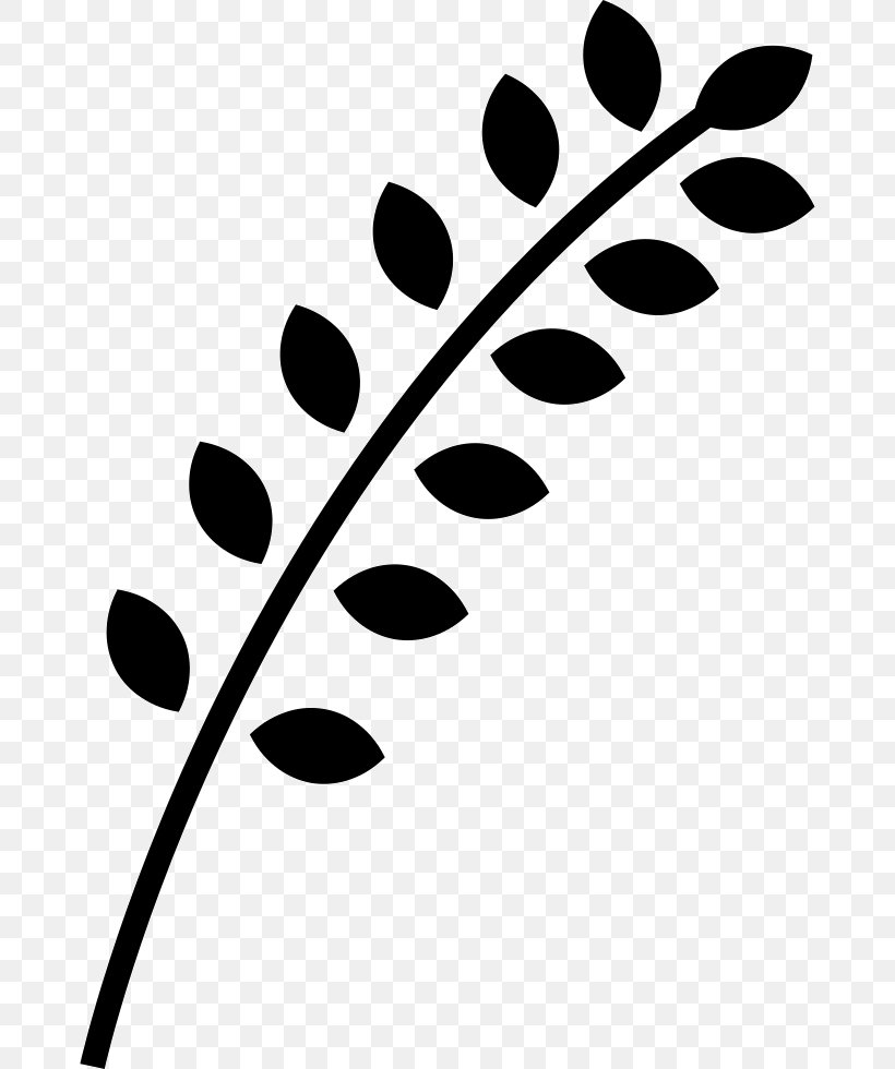 Ear Wheat, PNG, 674x980px, Ear, Black, Black And White, Branch, Cereal Download Free