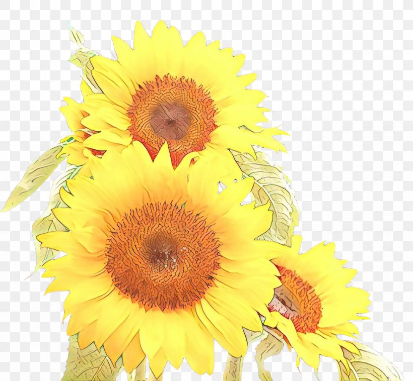 Floral Design Cut Flowers Sunflower, PNG, 973x900px, Floral Design, Annual Plant, Artificial Flower, Asterales, Calendula Download Free