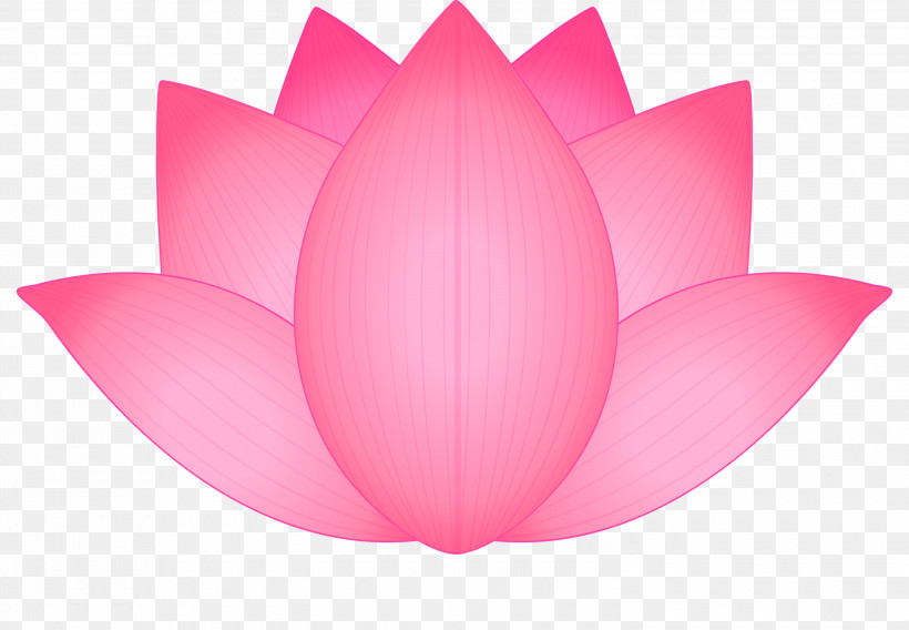 Lotus Flower, PNG, 3000x2080px, Lotus, Aquatic Plant, Flower, Leaf, Lotus Family Download Free