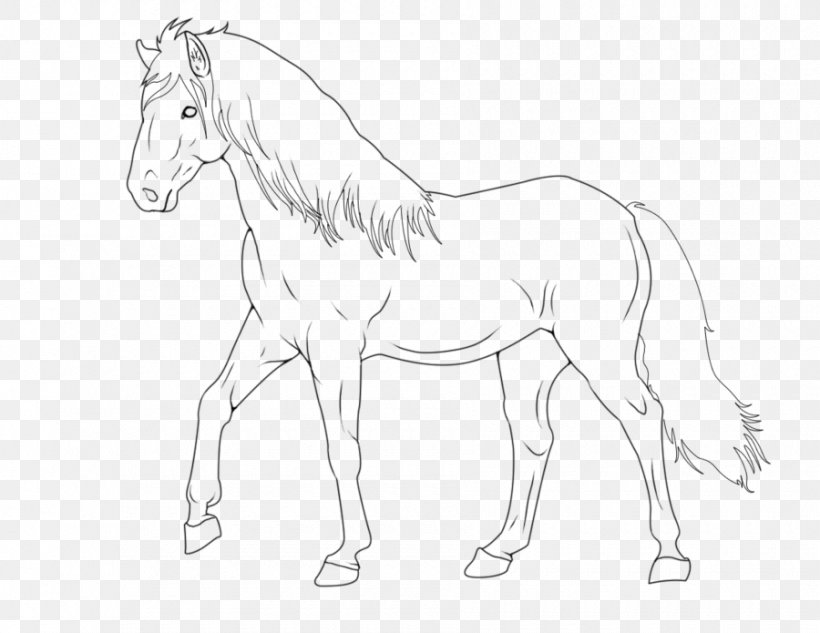 Mane Foal Mustang Stallion Bridle, PNG, 900x695px, Mane, Animal Figure, Arm, Artwork, Black And White Download Free