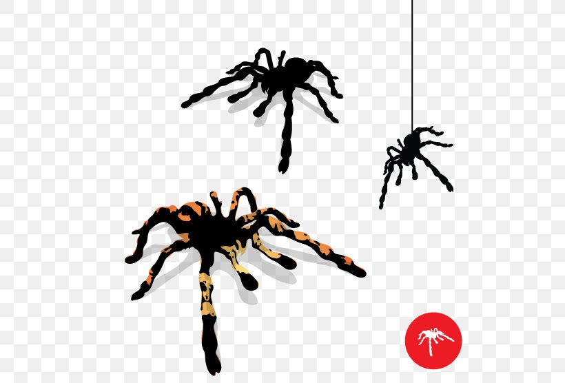 Tarantula Spider Web Clip Art, PNG, 556x556px, Tarantula, Animal Figure, Arachnid, Armed Spiders, Arthropod Download Free
