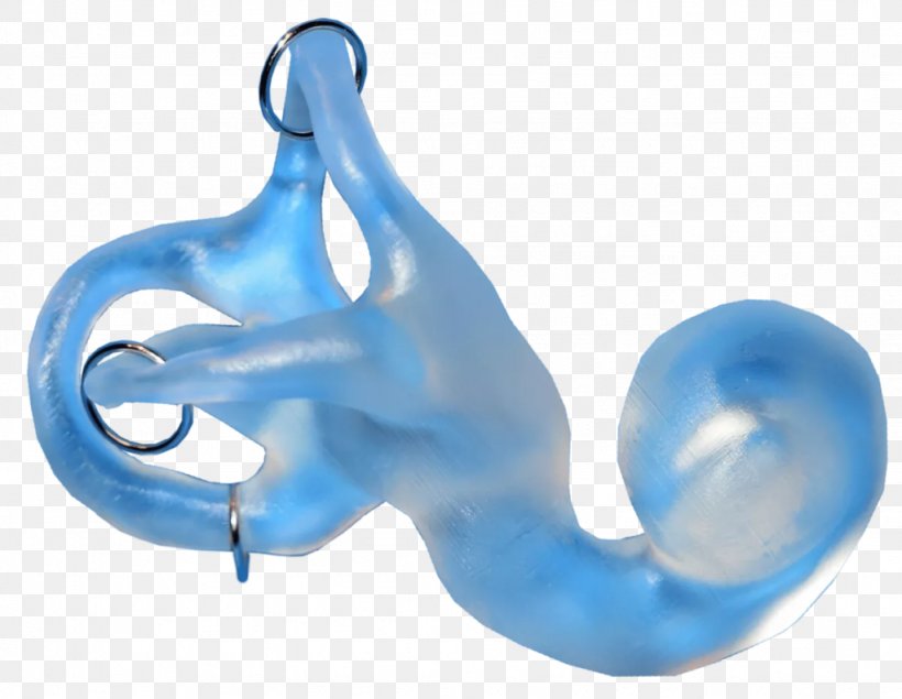 3D Printing Inner Ear Otolith, PNG, 1024x794px, 3d Computer Graphics, 3d Printing, 3d Scanner, Blue, Body Jewelry Download Free
