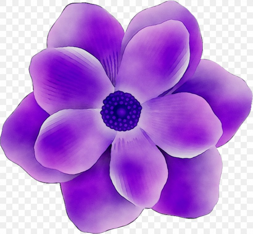 Cut Flowers, PNG, 1118x1034px, Cut Flowers, Flower, Flowering Plant, Lilac, Petal Download Free