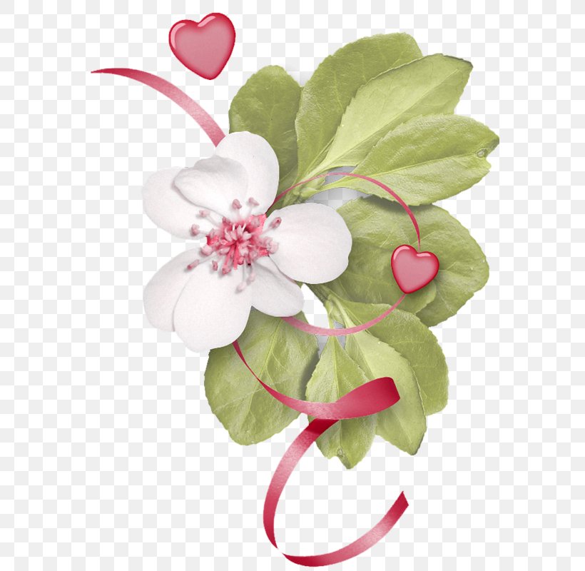 Digital Scrapbooking Flower Floral Design Clip Art, PNG, 581x800px, Digital Scrapbooking, Artificial Flower, Blossom, Cut Flowers, Floral Design Download Free