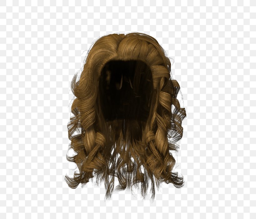 Hairstyle Wig Clip Art, PNG, 700x700px, Hair, Bun, Canities, Fur, Hairstyle Download Free