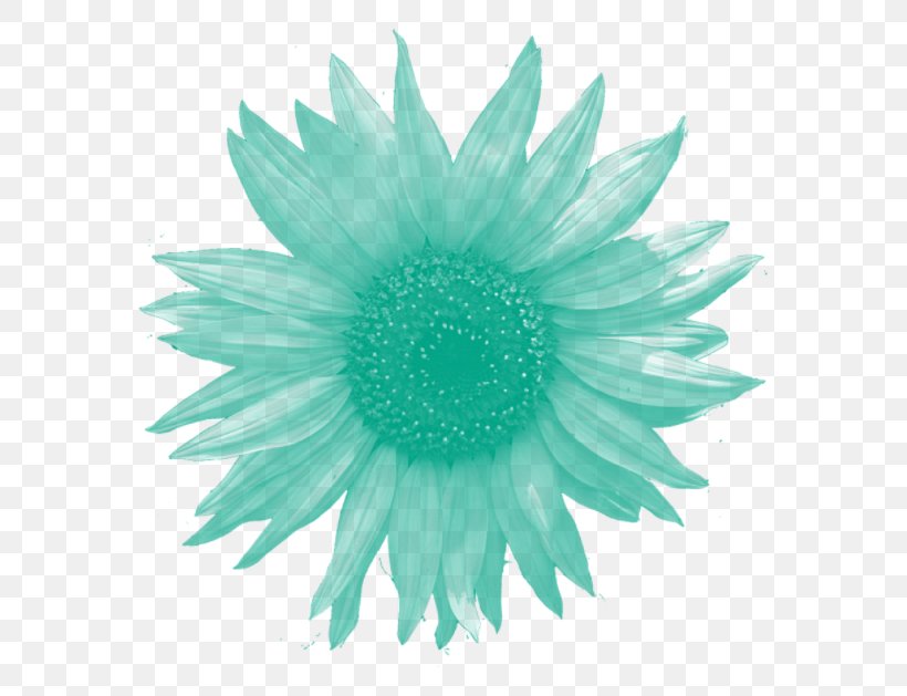 Brush Watercolor Painting Loyal PhotoScape, PNG, 662x629px, Brush, Aqua, Blue, Daisy, Daisy Family Download Free