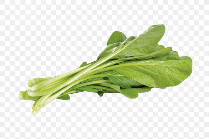 Choy Sum Vegetable Food Cabbage Asian Cuisine, PNG, 960x640px, Choy Sum, Arugula, Asian Cuisine, Bok Choi, Cabbage Download Free