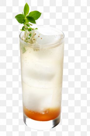 Cocktail - Cocktail Garnish Sea Breeze Harvey Wallbanger White Russian Mint Julep PNG