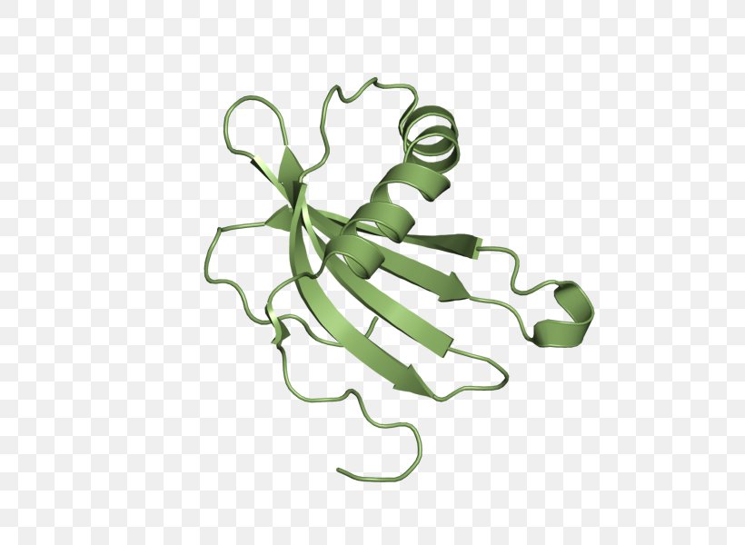 Cystatin A Wikipedia Protein Insect, PNG, 600x600px, Cystatin, Encyclopedia, Food, Gene, Insect Download Free