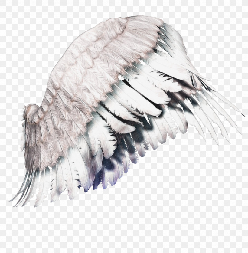 Feather, PNG, 885x903px, Feather, Fur, Wing Download Free