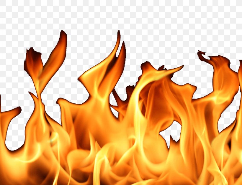 Flame Fire Clip Art, PNG, 1024x785px, Light, Color, Colored Fire, Combustion, Fire Download Free