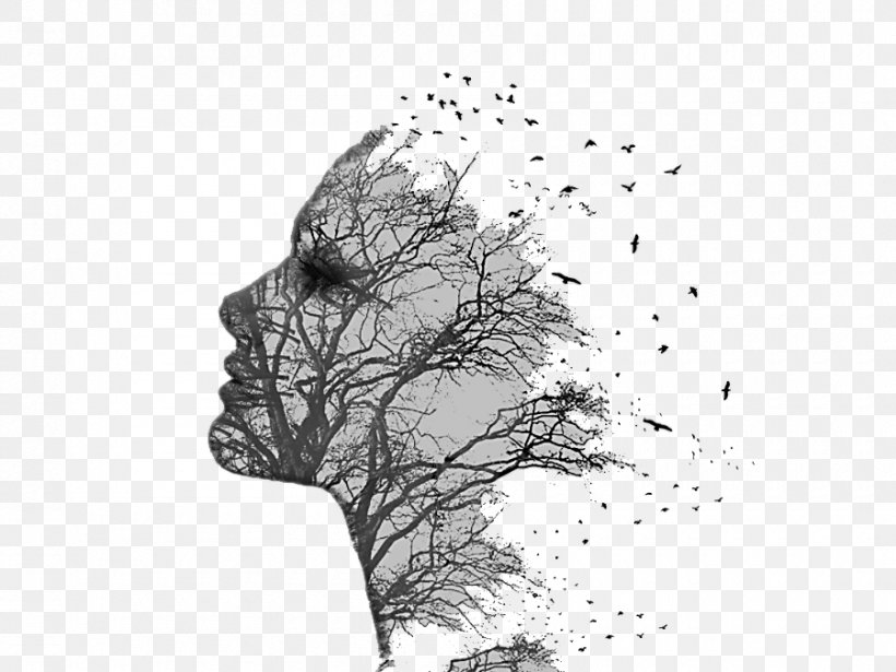 Graphic Design, PNG, 900x675px, Vecteur, Black, Black And White, Branch, Creativity Download Free