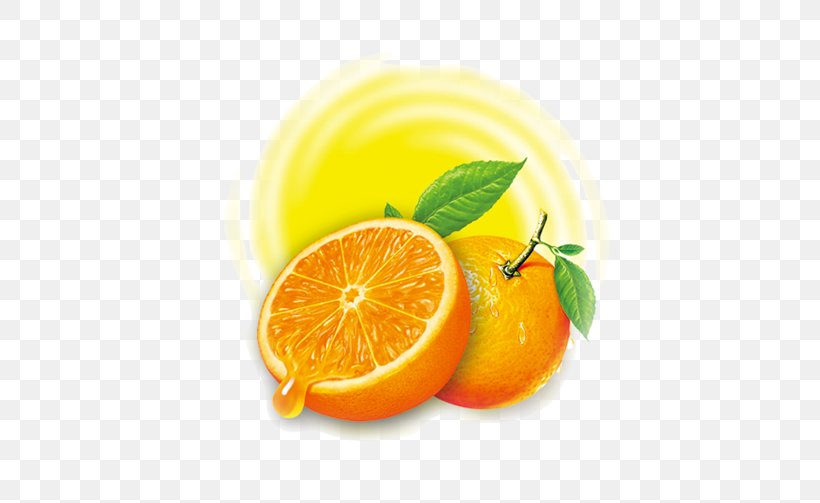 Lemon Squeezer Citron Orange Juicer, PNG, 514x503px, Lemon, Bitter Orange, Citric Acid, Citron, Citrus Download Free