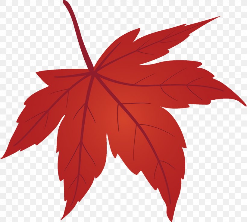 Maple Leaf Fallen Leaf Dead Leaf, PNG, 1028x924px, Maple Leaf, Autumn Leaf, Black Maple, Dead Leaf, Fallen Leaf Download Free