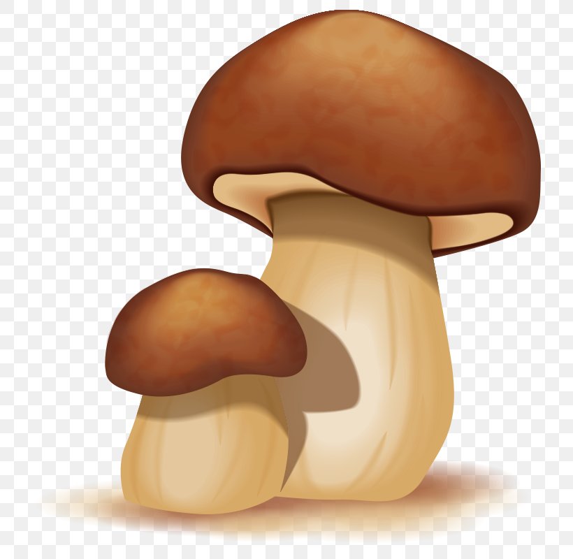 Mushroom Cartoon, PNG, 800x800px, Mushroom, Art, Cartoon, Edible Mushroom, Food Download Free