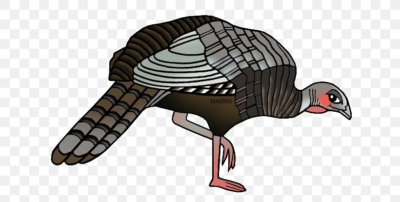 United States Turkey Clip Art, PNG, 648x414px, United States, Beak, Bird, Christmas, Domesticated Turkey Download Free