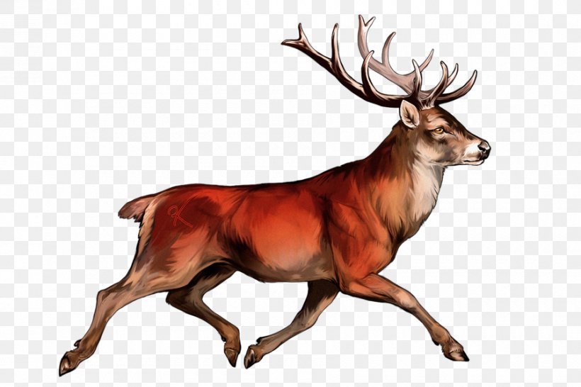 White-tailed Deer Irish Elk Red Deer Reindeer, PNG, 900x600px, Whitetailed Deer, Animal, Antler, Chital, Deer Download Free