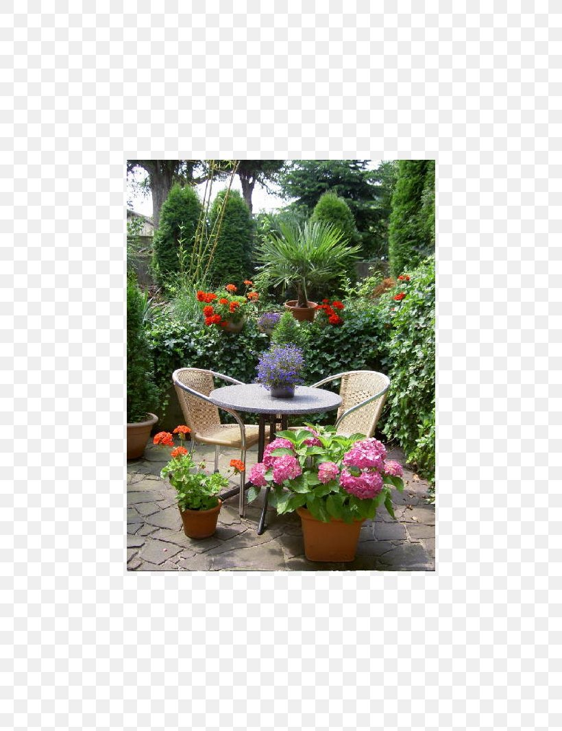 Backyard Herb Lawn Meter Houseplant, PNG, 800x1066px, Backyard, Flora, Flowerpot, Garden, Grass Download Free