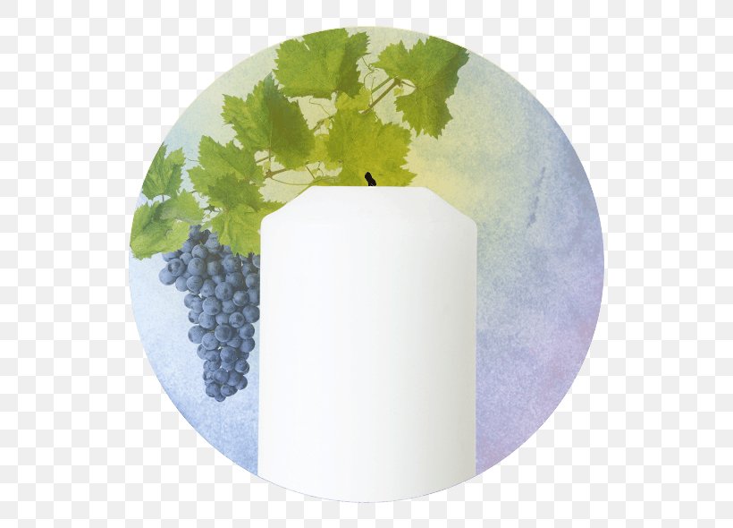 Common Grape Vine Grape Leaves Wine, PNG, 590x590px, Grape, Common Grape Vine, Depositphotos, Fruit, Grape Leaves Download Free