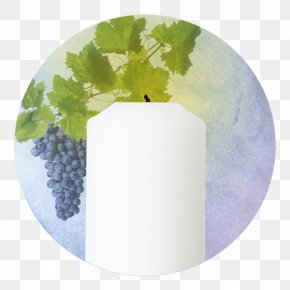 Grape - Common Grape Vine Grape Leaves Wine PNG