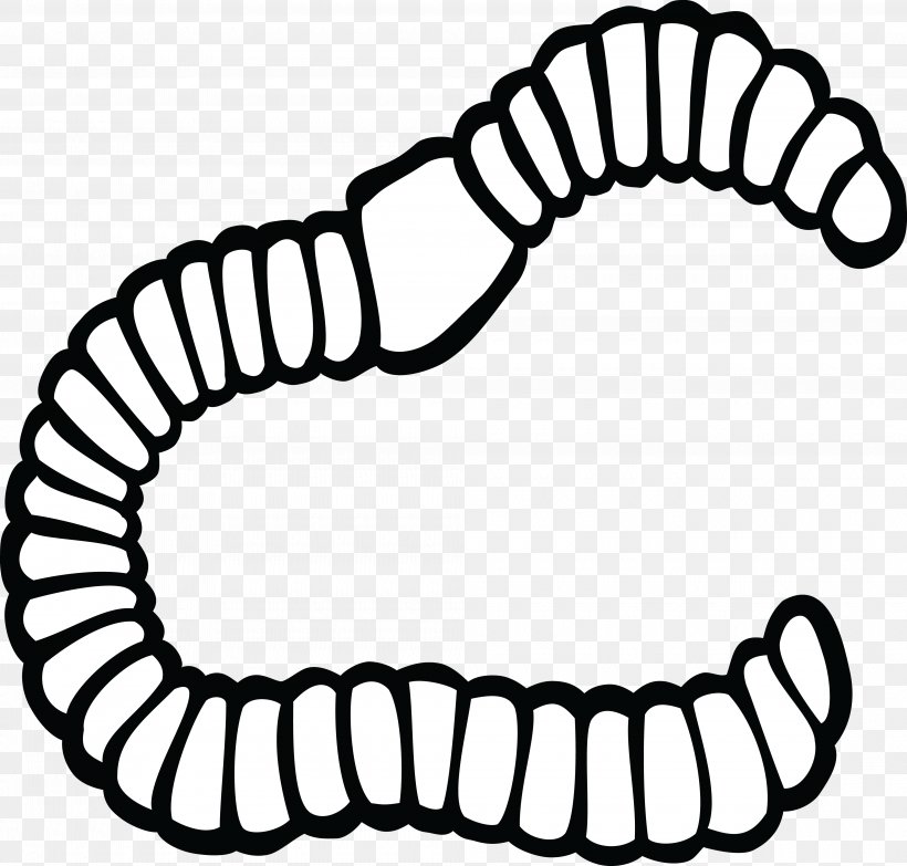 Earthworm Clip Art, PNG, 4000x3824px, Worm, Auto Part, Black, Black And White, Coloring Book Download Free