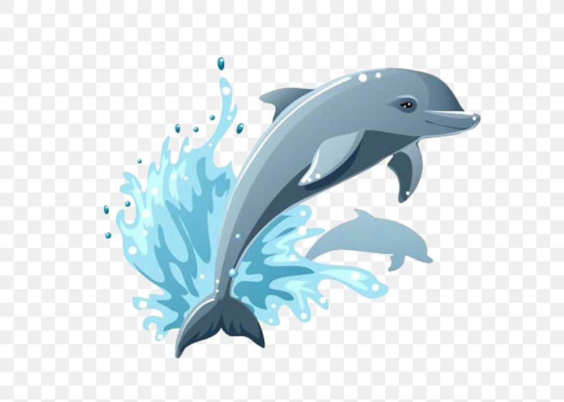 Cartoon Dolphin Drawing Clip Art, PNG, 675x584px, Cartoon, Blue, Common Bottlenose Dolphin, Dolphin, Drawing Download Free