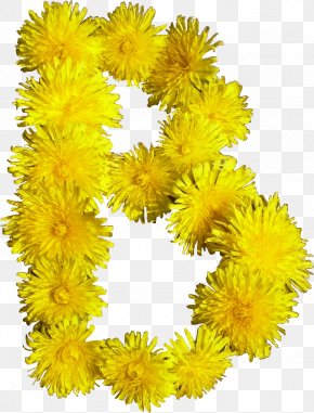 Blumen - Cut Flowers Blume PNG