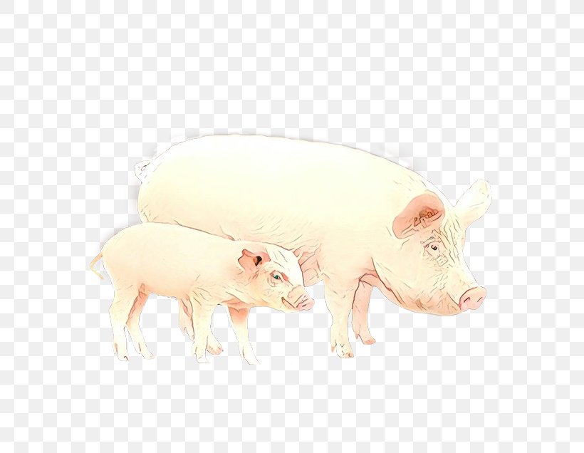Domestic Pig Suidae Animal Figure Snout Livestock, PNG, 636x636px, Cartoon, Animal Figure, Boar, Domestic Pig, Fawn Download Free