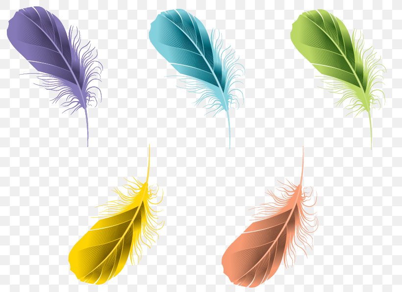 Feather Digital Image, PNG, 811x595px, Feather, Cdr, Color, Coreldraw, Digital Image Download Free